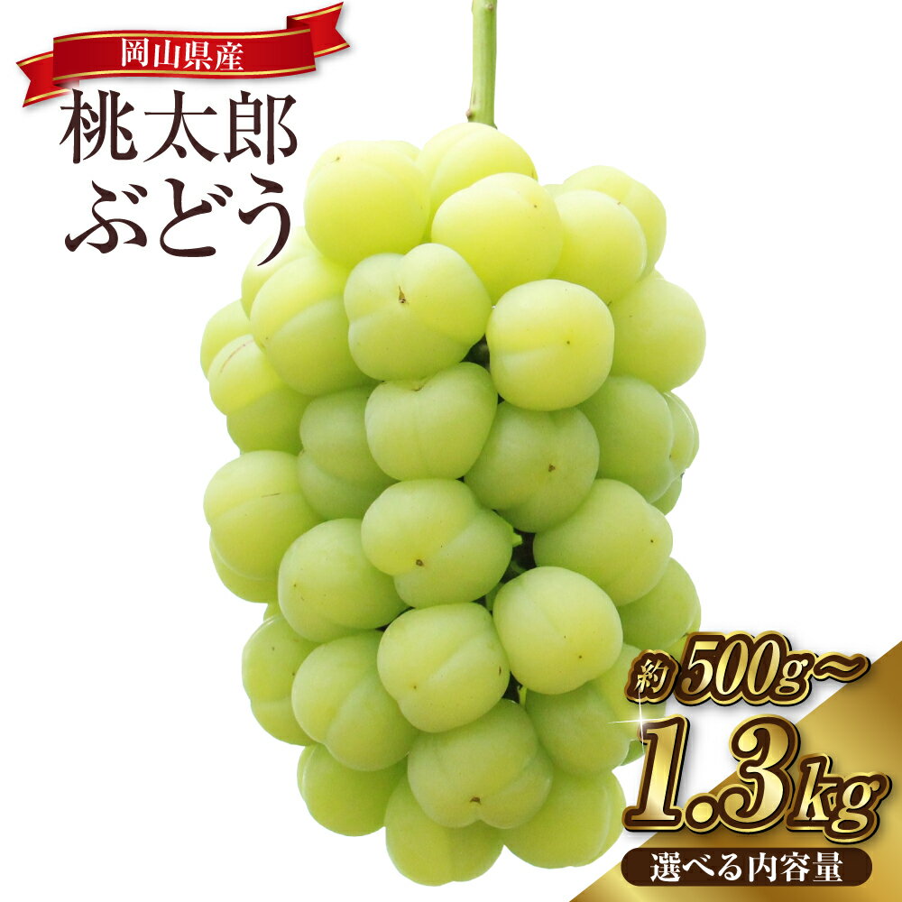 【ふるさと納税】＜選べる容量＞ぶどう 2025年 先行予約 桃太郎 ぶどう 1房（約500g） ／ 2～3房（約1.3kg） ブドウ 葡萄 岡山県産 国産 フルーツ 果物 ギフト 果物 ぶどう フルーツ スッキリ 種なし 大粒 人気 皮ごと 美味しい【2025年9月上旬～9月下旬 発送予定】