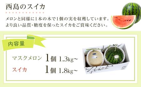 高知県南国市産／メロン・スイカセット【フルーツ すいか くだもの すいか デザート すいか 詰め合わせ スイカ メロン セット メロン 高評価 すいか 厳選 ギフト スイカ 贈り物 すいか 人気 おす