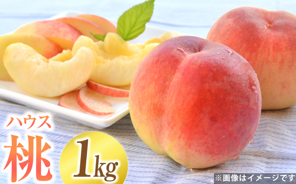 ハウスもも 約1kg（品種おまかせ）旬の桃 桃 もも 旬 果物 くだもの フルーツ 果実 デザート 【2026年5月下旬-6月上旬発送予定】