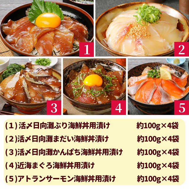 お魚の漬け丼バラエティ5回定期便 N019-YZD0117