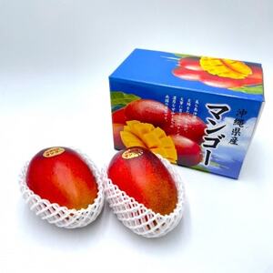 【2026年7月から順次発送・化粧箱】中城果樹園の完熟マンゴー 秀品1.0kg(2～3玉)【配送不可地域：離島】【1673411】