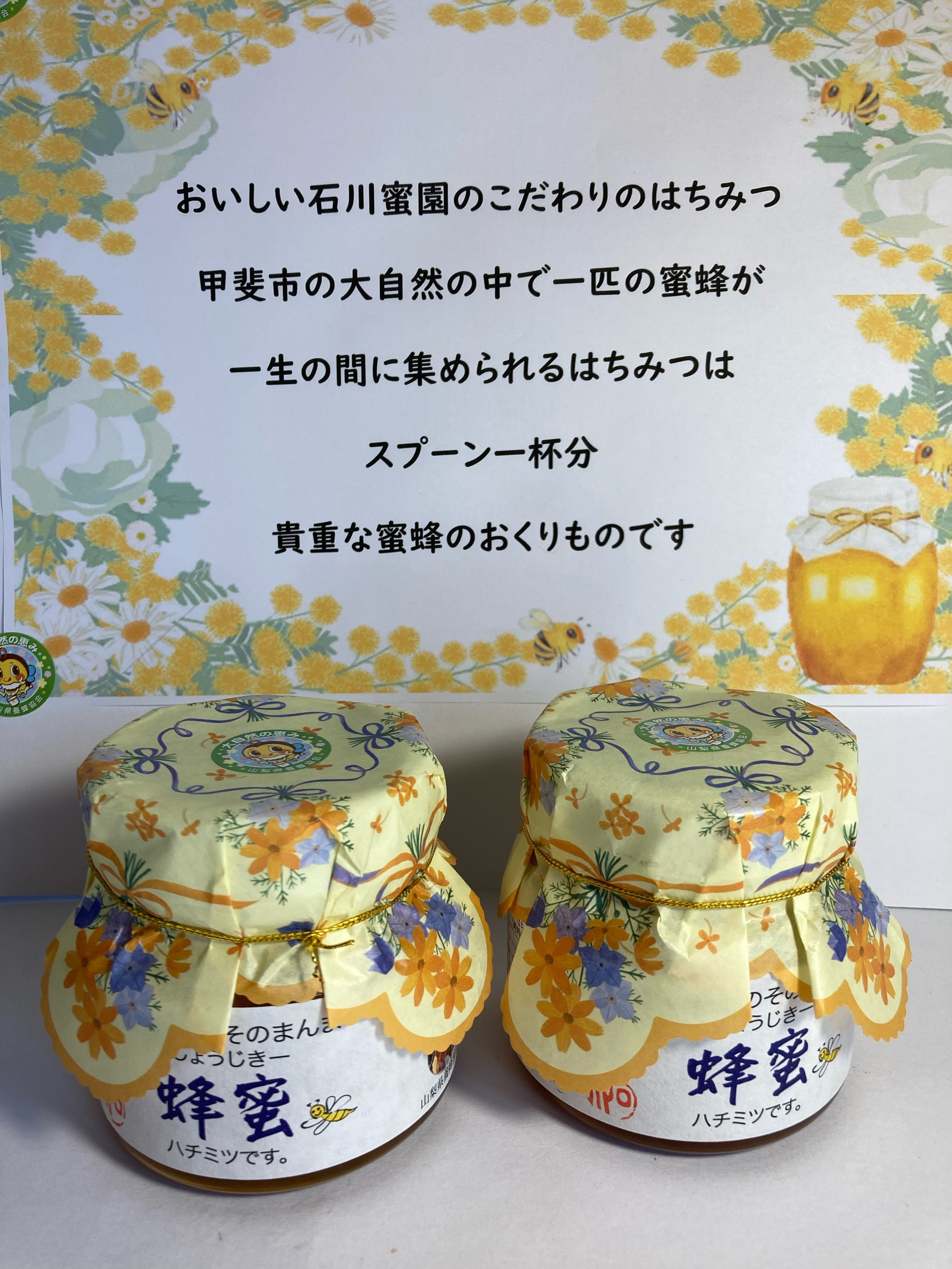 
石川蜜園そのまんま　蜂蜜(250g×2本)セット [山梨 はちみつ 蜂蜜]
