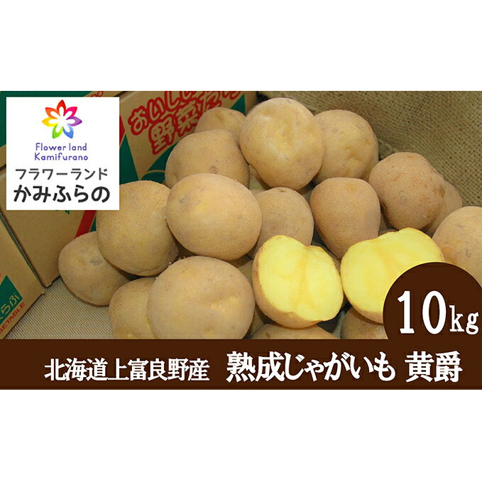 【ふるさと納税】【令和7年産】蔵出し熟成じゃがいも 黄爵10kg 野菜 ジャガイモ 約10kg 【北海道上富良野町産】　お届け：2026年2月中旬～3月下旬まで