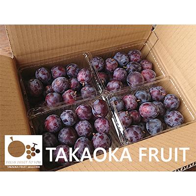 ふるさと納税 中野市 高丘フルーツの長野県産「生プルーン」贈答用　約2Kg |  | 01