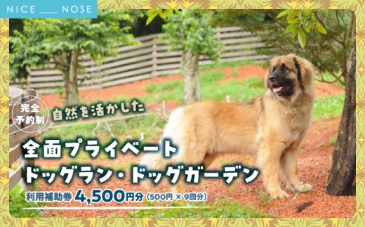 【完全予約制】自然を活かした全面プライベートドッグラン・ドッグガーデン 利用補助券 4,500円分 (500円 × 9回分) | Bless Dog Oasis | 犬 愛犬 チケット 券 貸切 プライベート 広い 体験 レジャー 自然 運動 アウトドア | 大阪府 能勢町 送料無料
