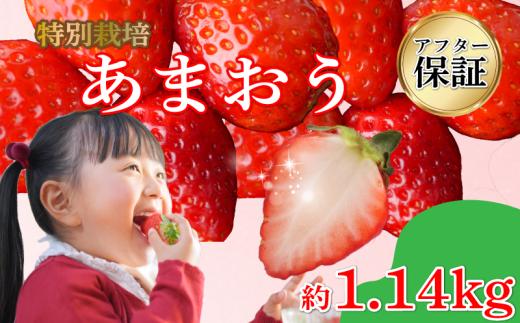 【2027年1月発送】 訳あり 福岡県産 あまおう 約285g×4P 約1.1kg 冷蔵 小分け いちご 苺 イチゴ フルーツ 果物 スイーツ くだもの 冬 春 旬 福岡 九州 福岡県 川崎町 数量限定 期間限定