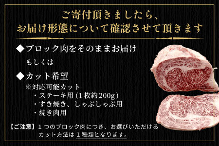 根羽こだわり和牛 ヒレ ブロック 半頭分 約3kg 黒毛和牛 ヒレステーキ ブロック肉　塊肉 塊 牛肉 国産牛 お祝い パーティ ステーキ 焼肉 BBQ 霜降り すき焼き しゃぶしゃぶ 大人数