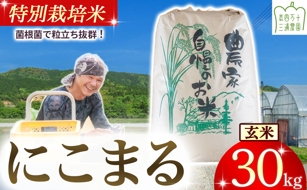 
            【新米予約】 四万十清流育ち！三浦さんの玄米 30kg 菌の力で美味しさUP 特別栽培米 ／Fms-19 玄米 にこまる 特別栽培米 米 お米
          