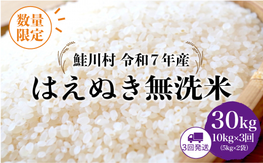 ◇数量限定品◇ 令和8年5月下旬より発送 ＜令和7年産＞ はえぬき【無洗米】30kg定期便 (10kg×3回)　鮭川村