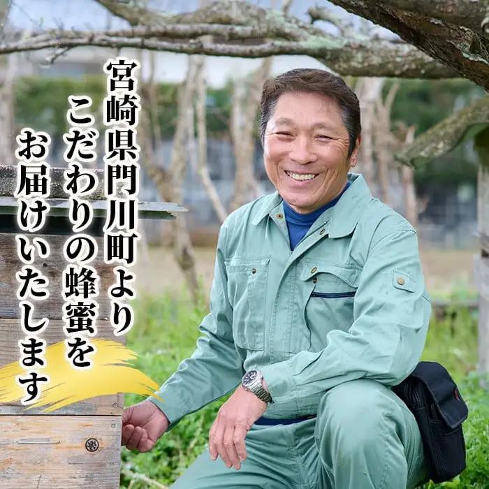 ＜数量限定＞幻の蜂蜜（1本・260g） ハチミツ  国産  非加熱  【YH-1】【安田蜂蜜】