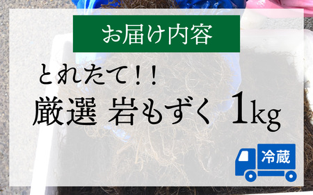 【先行予約】岩もずく1.0kg ※2026年5月下旬ごろ順次発送｜北陸 厳選 もずく [B-018005]