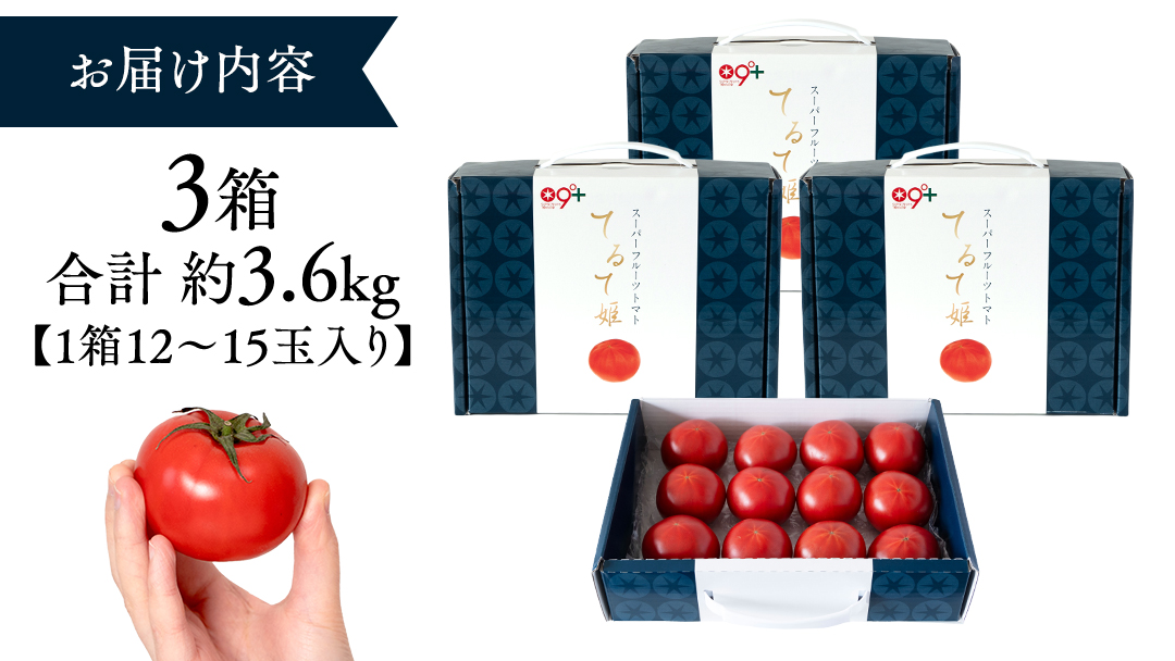 糖度9度以上 トマト 【 2025年収穫分 先行予約 】 スーパーフルーツトマト てるて姫 中箱  約1.2kg×3箱 【12〜15玉/1箱】 糖度9度以上 ブランドトマト 2025年2月上旬発送開始