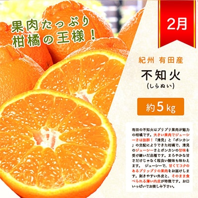 【発送月固定定期便】紀州和歌山産旬の柑橘セット(不知火・レモン・清見)全3回