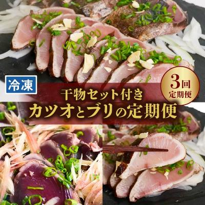 ふるさと納税 黒潮町 土佐の海からの贈り物!初・戻りカツオ/天然ブリ/干物 定期便3回 [(H)1226-3]