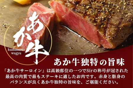 熊本県産 あか牛 【 サーロイン ステーキ 200g×3枚 計600g 】 本場 熊本 あか牛 牛肉 サーロイン ステーキ 和牛 肉 赤身 褐毛和種 クリスマス 046-0659