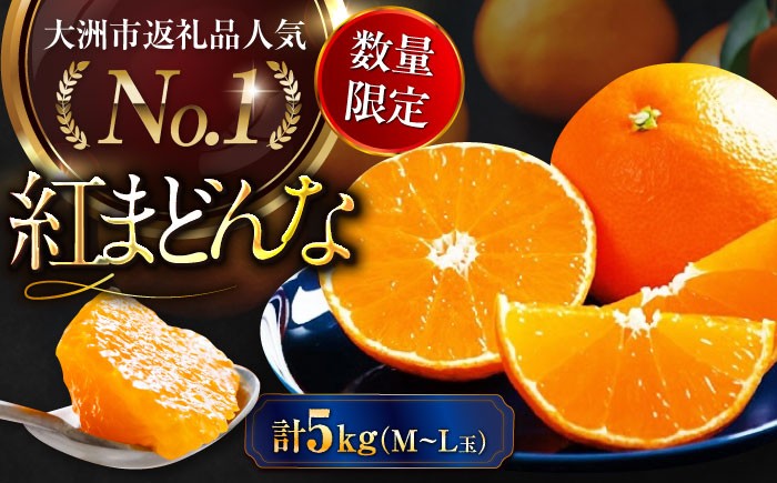 
            【先行予約】【12月上旬から順次発送】【期間・数量限定】愛媛限定栽培！ 紅まどんな M～L玉サイズ 家庭用約5kg箱（24玉～30玉） 果物 フルーツ みかん ミカン まどんな 紅まどんな 紅マドンナ 愛媛県大洲市/愛媛たいき農業協同組合[AGAO009]
          