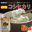 【ふるさと納税】 数量限定 新米 コシヒカリ 5kg 令和6年 白米 精米 米 こしひかり ブランド米 国産 高知県 須崎 しんじょう君 産地直送