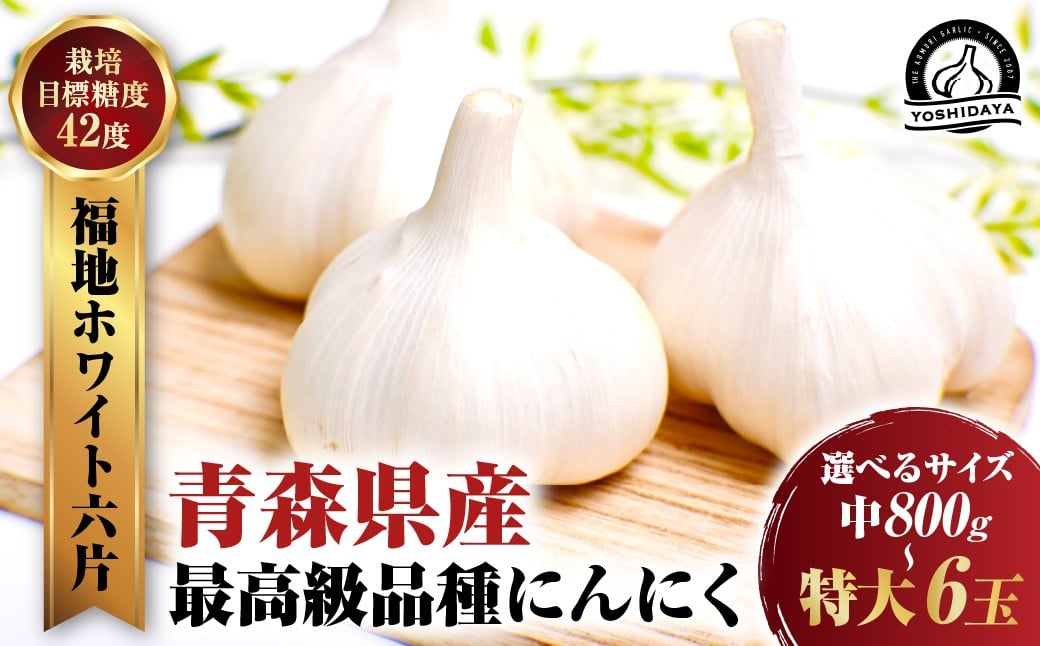 
            【2025年産】にんにくのよしだ家 青森県産にんにく 中/大/特大 サイズを選べる 福地ホワイト種 高品質 大蒜 ニンニク ガーリック 国産 薬味 スタミナ 野菜 おすすめ 送料無料 野菜 健康食品 免疫力向上 滋養強壮 にんにく 青森県 三戸町
          