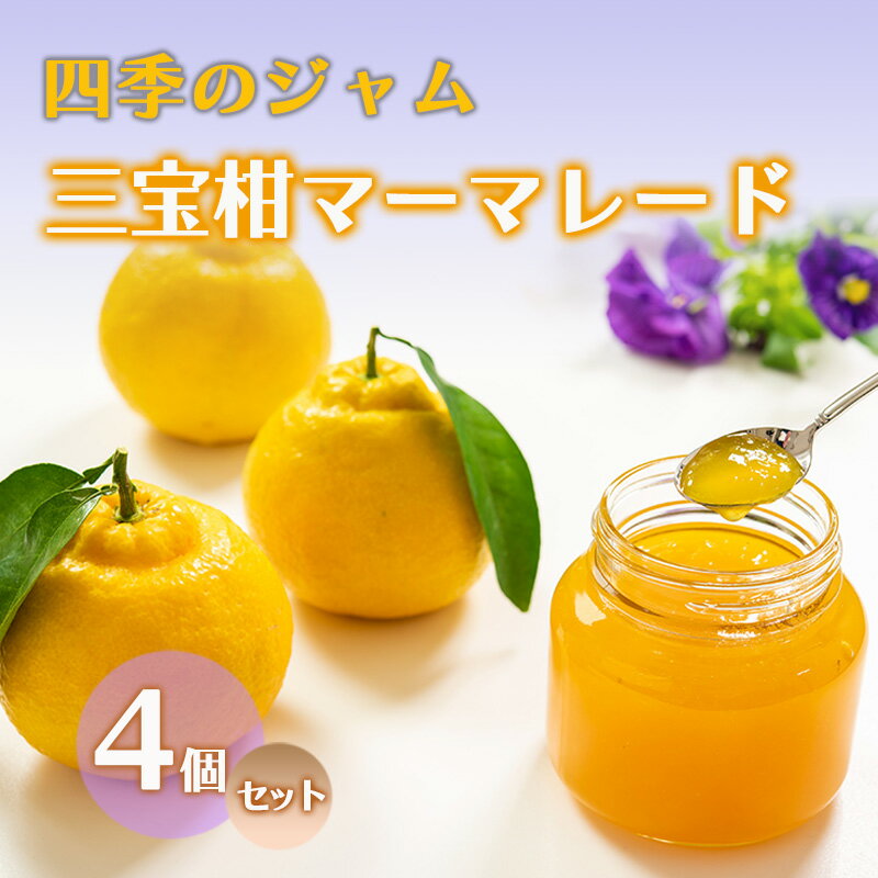 【ふるさと納税】ジャム 長野 四季のジャム 三宝柑 マーマレード 4個 セット 飯島商店 スライスした皮入り みかんジャム みかん 柑橘 朝ごはん 朝食 パン フルーツ 果物 デザート スイーツ ギフト プレゼント 贈答 贈り物 調味料 長野県 上田市 上田　上田市