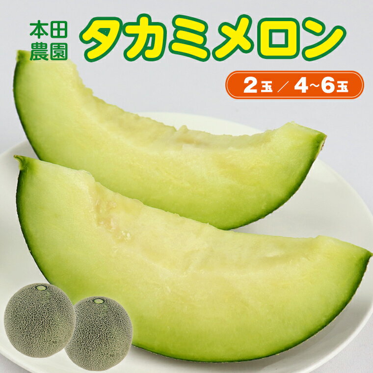 【ふるさと納税】メロン タカミメロン おすすめ フルーツ 果物 くだもの 2玉 3kg以上 4～6玉 約5～7kg 人気 国産 先行予約 数量限定 貴味メロン 青肉 国産 リピーター リピート 農産物 農作物 本田農園 6月下旬～7月末頃発送予定