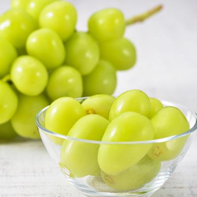 ふるさと納税 中野市 【発送月固定定期便】中野市の糖度13度保証の桃2.1kg以上とシャインマスカット2房1kg以上全2回 |  | 02