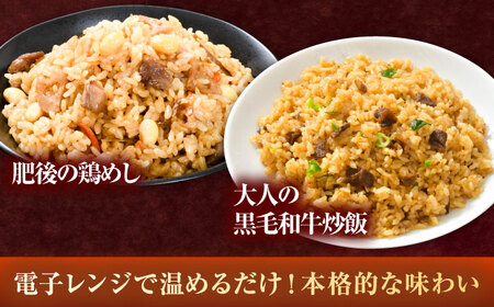 熊本県産 こだわり炒飯 バラエティセットB 計2.3kg (230g×10袋) / 冷凍食品 米飯 チャーハン 熊本県 惣菜 冷凍 簡単 菊陽町【ユーユーフーズ株式会社】[BHCS013]