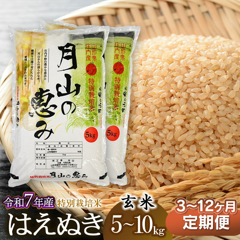 【ふるさと納税】令和7年産【定期便】特別栽培米 はえぬき 玄米 選べる容量（5kg・10kg）・発送回数（3・6・12回） 毎月1回中旬発送 | 山形県 鶴岡市 お米 コメ おこめ 5キロ 玄米 ブランド米 美味しい