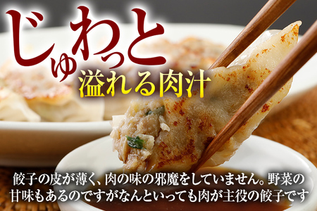 餃子 80個 博多和牛餃子