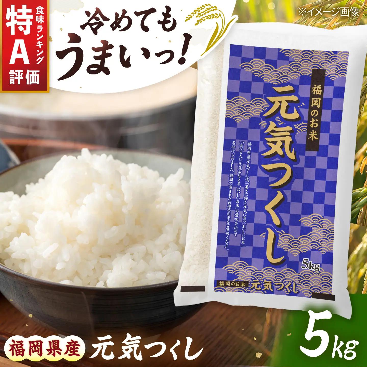 令和7年産 福岡県 元気つくし 5kg [BGBZ004]