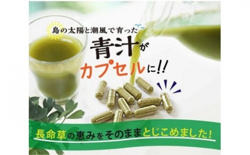 長命草カプセル(280mg×150粒)【機能性標示食品】