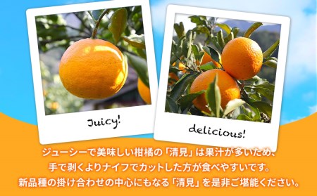 【先行予約】大村農園のみかん 清見 5kg | みかん 津久見市
