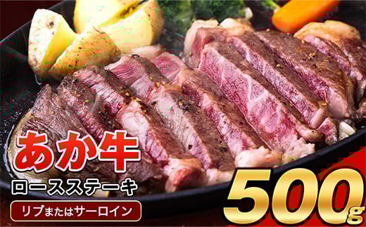 あか牛（褐色和種）ロースステーキ (リブまたはサーロイン) 250g×2 500g 熊本県産 肉 和牛 牛肉 赤牛 あかうし リブロース サーロイン 冷凍 《30日以内に出荷予定(土日祝除く)》送料無料