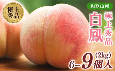 桃の王様【白鳳】特秀品 約2kg 6～9個入 ｜ 桃