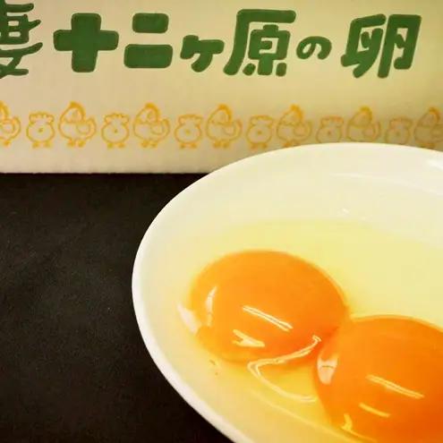 【3か月連続お届け】農場直送！吾妻十二ヶ原の卵（20個） 二黄卵 鶏卵 たまご タマゴ 卵 安心 こだわり 食卓 卵かけごはん 堀田養鶏場 群馬県 東吾妻町
