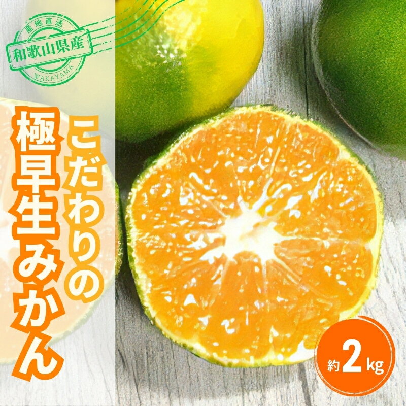 【ふるさと納税】 ＼光センサー選別／農家直送 こだわりの極早生みかん 約2kg 数量限定 有機質肥料100% サイズ混合 ※2025年9月下旬より順次発送予定（お届け日指定不可） 有田産 有田 みかん