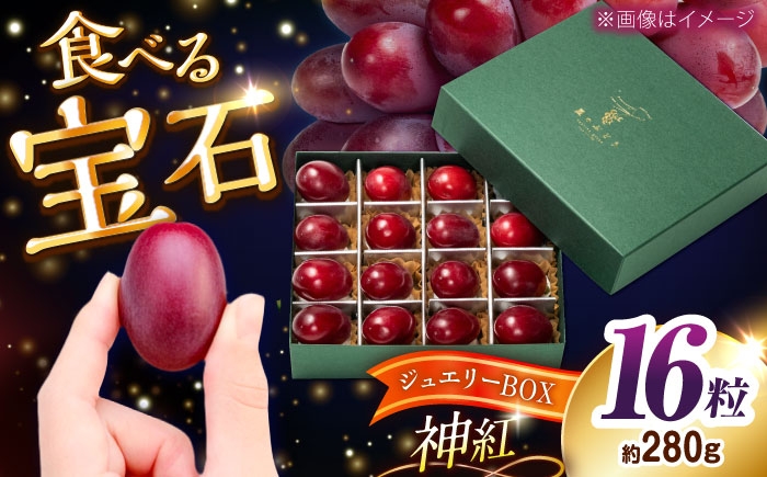 
                  【先行予約：2026年8月中旬より発送】【数量限定】贈り物におすすめ！島根オリジナルぶどう神紅・ジュエリーBOX 16粒(約280g) 島根県雲南市/ギアファーム [AIAB019]
                