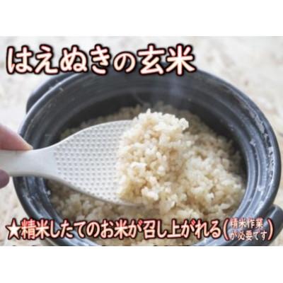 ふるさと納税 新庄市 【令和7年産】　はえぬき(玄米)10kg　山形県産 |  | 02