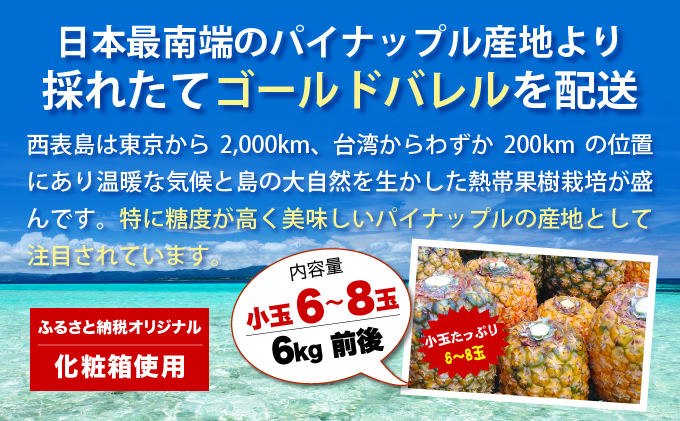 【2026年発送】ゴールドバレルたっぷり小玉セット[022-a012_2026]