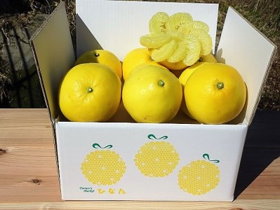 【8回定期便】高知県 須崎市産 産地直送 果物 野菜 フルーツ