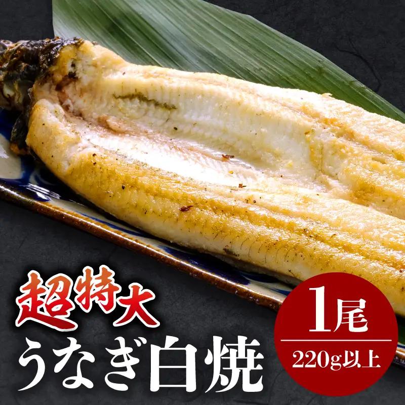 うなぎ 白焼き うなぎ[国産 1尾]