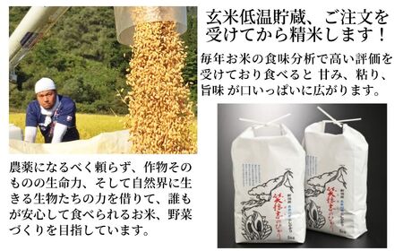 【定期便】コシヒカリ『笑穂志(えぼし)のひかり』5kg×12回 毎月お届け 全60kg（紙袋入り）令和5年産 U'ファーム【米 お米 白米 こめ コメ こしひかり 新潟県 糸魚川産 2023年産 食品