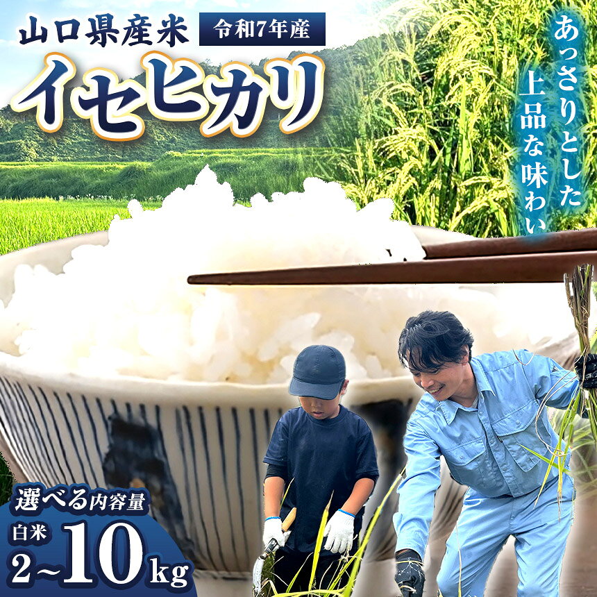 【ふるさと納税】令和7年産 山口県産米 イセヒカリ 選べる 内容量 （ 2kg ～ 10kg ）｜ 令和7年産 イセヒカリ 山口県産米 こめ お米 コメ 白米 精米 古米 瀬戸内 山口県 平生町 2kg 5kg 10kg