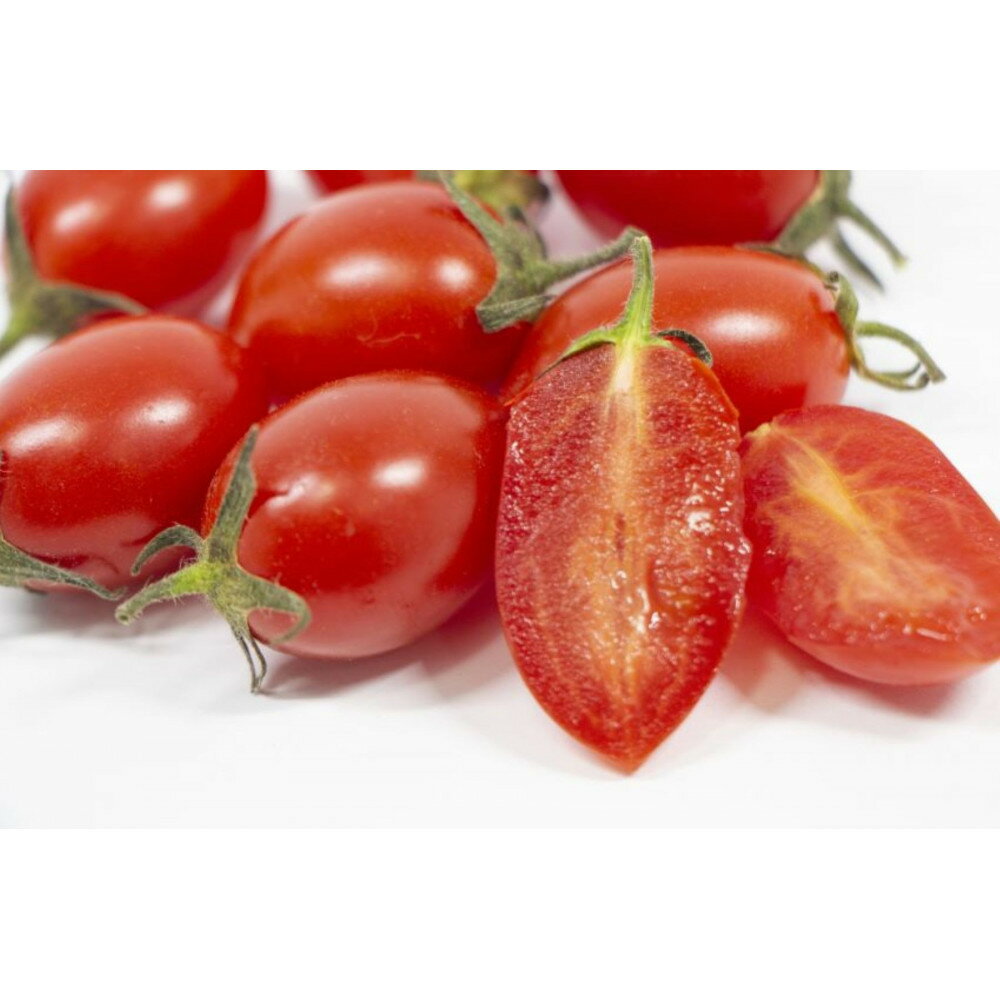 【ふるさと納税】【選べる発送月】ミニトマトアイコ(松トマト) 約2kg（S・M・Lサイズおまかせ） | トマト ミニトマト 松トマト 野菜 やさい 食品 人気 おすすめ 送料無料