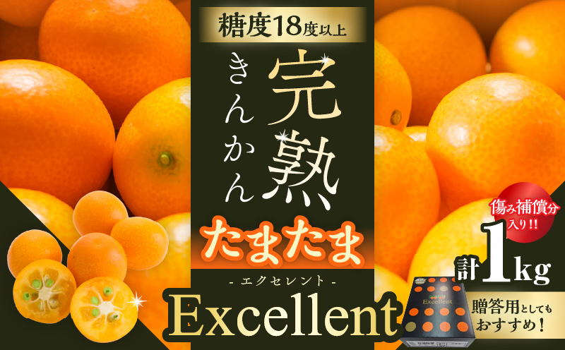 糖度18度以上!! 完熟きんかん たまたま エクセレント 計1kg 傷み補償分入り フルーツ 果物 柑橘 金柑 国産 食品 A品 2L ブランド 大粒 極甘 デザート おすすめ ギフト プレゼント 贈