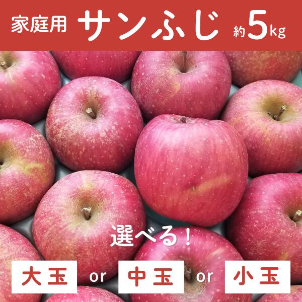 【ふるさと納税】りんご サンふじ ご家庭用 大玉 or 中玉 or 小玉 約5kg / 11月下旬頃～配送予定 // 農家直送 長野県 松川町産 訳あり 訳アリ