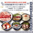 【ふるさと納税】【高級食材本マグロ、曽我の梅干し、小田原地あじ、小田原港直送地魚丼、大磯港直送、湘南生しらす】小田原海鮮丼の具（6種セット）【本まぐろ丼 小田原地魚丼 小田原地あじたたき丼 国産活〆真鯛入り酒仕込み 神奈川県 小田原市 】