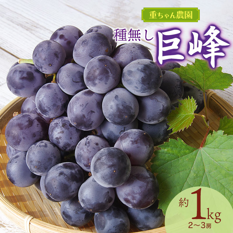 【ふるさと納税】【令和7年産先行予約】種なし巨峰 1kg(2〜3房）ぶどう
