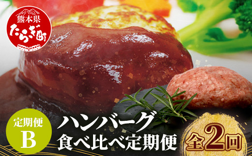 
                  【定期便2回】 人気 ハンバーグ 食べ比べ 定期便 B 《自家製豆腐のハンバーグ ／ くまもと黒毛和牛 生ハンバーグ》 合計 3kg バラエティ 定期便 豆腐 牛肉 肉 熊本県産 092-0025
                