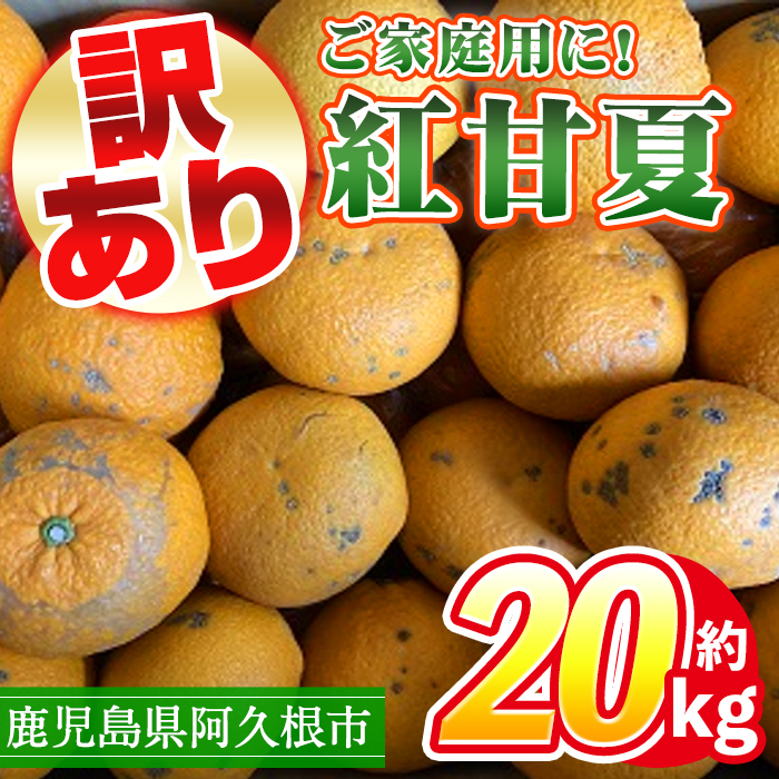 ＜2025年3月中旬以降順次発送予定＞訳あり！鹿児島県産まかない紅甘夏(約20kg)国産 鹿児島産 柑橘 訳アリ 果物 フルーツ 旬【三笠農業生産】a-12-138