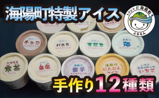 
海陽町特製アイス ユニークな味１２種類セット！ アイスクリーム 12種類 海陽町特製 自家製 詰め合わせ アイス バニラアイス 抹茶 セット 手作り 母の日
